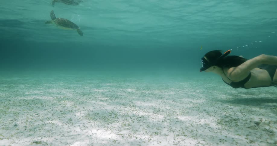 Woman swimming on seabed approaches sea turtle during daylight
