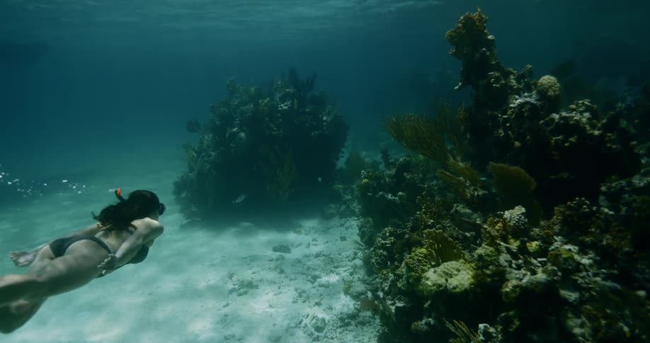A female in bikini snorkeling in the water