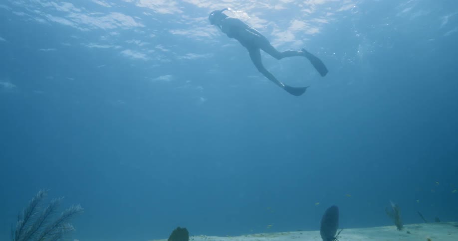 Diver swims on seabed during daylight