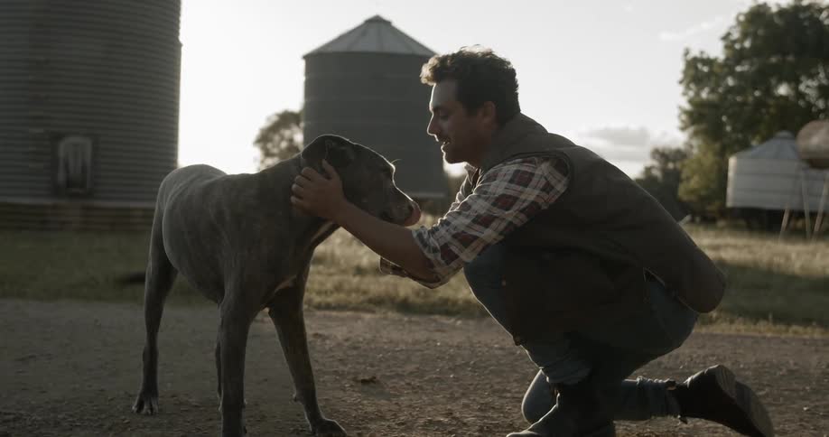 Man kneels and pets dog in the countryside at sunset