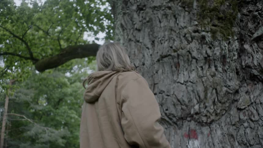 A white man with long blond hair touches a tree trunk