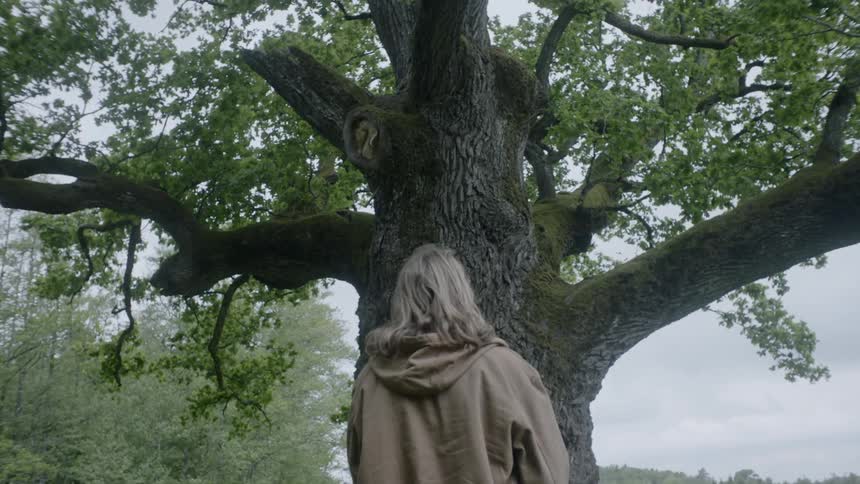 A blonde person gazing up at a thick tree