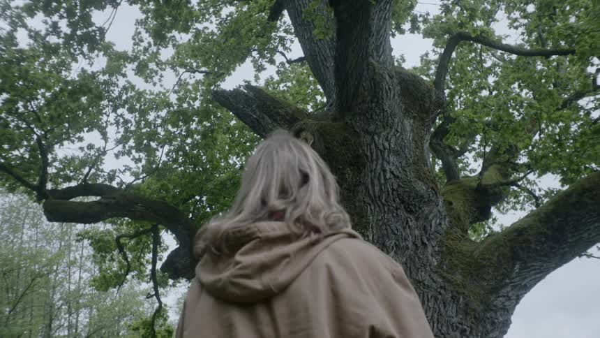A person staring up at a large moss covered tree