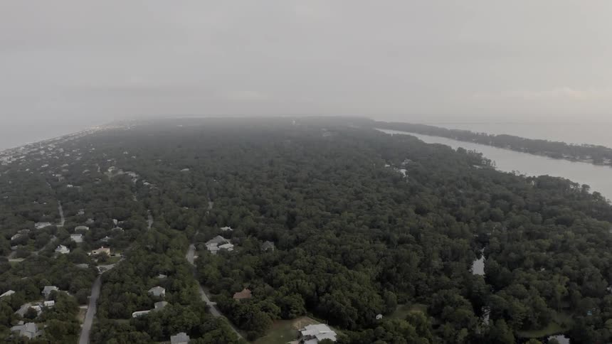 A residential area built throughout a dense forest