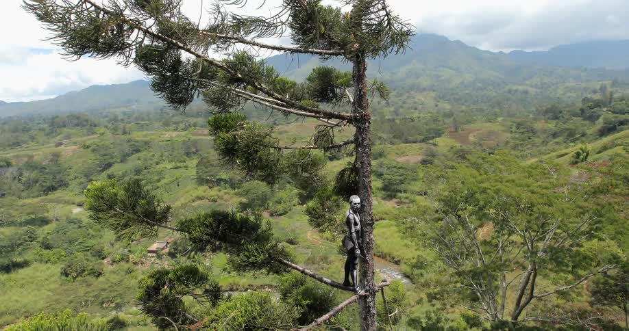A man painted like a skeleton stands in a tree