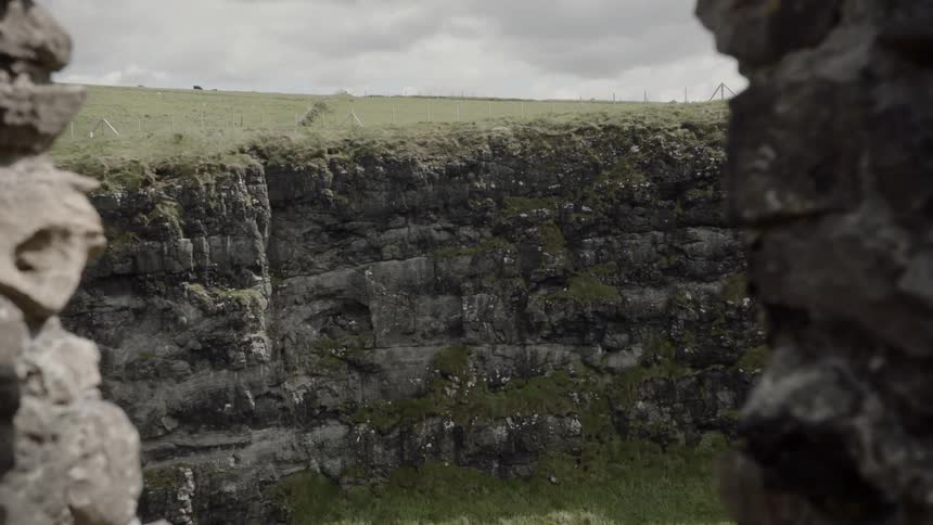 Birds lining the rocky hillside