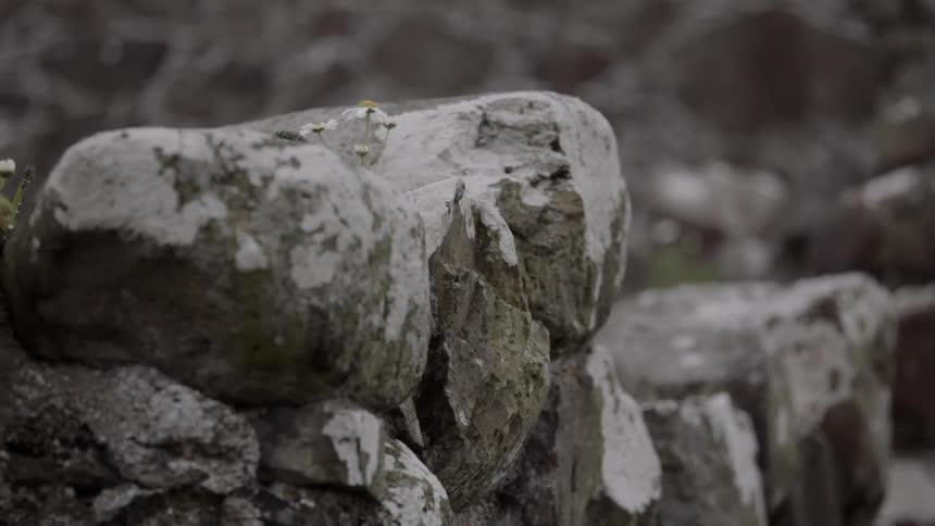 The wall is falling apart in the wilderness