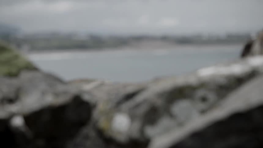 Beyond some moss and lichen covered rocks there is a bay and on the opposite shore these is a sandy coastline with a town just beyond