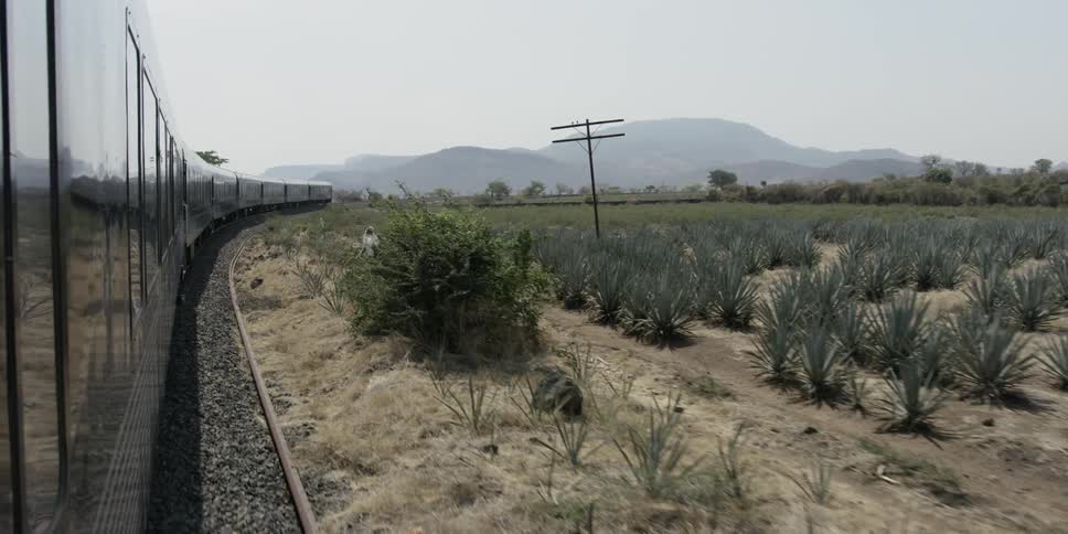A train rides along a track next to fields