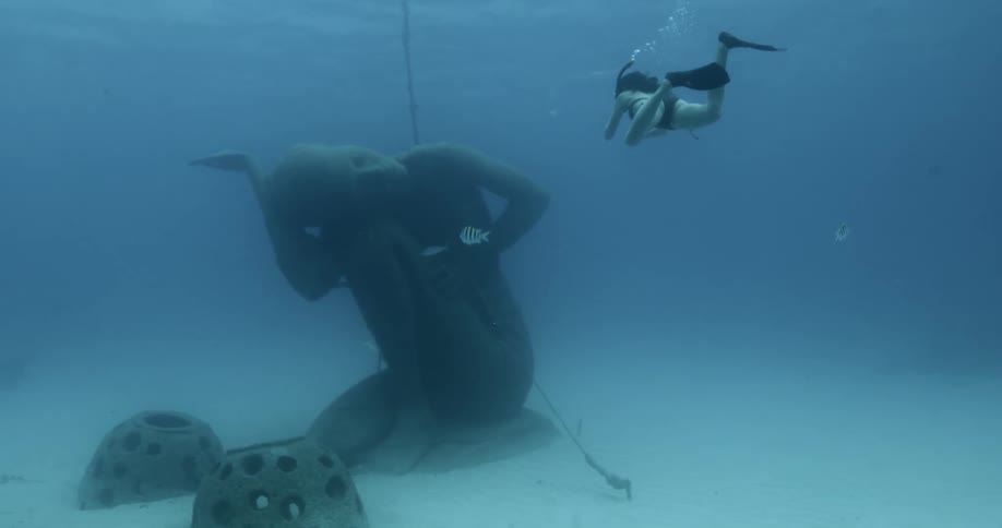 A woman is scuba diving underwater