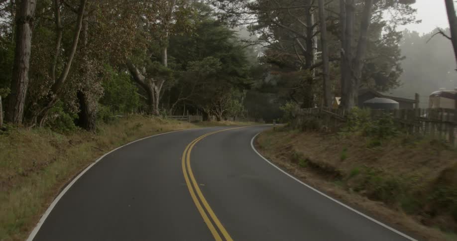 Asphalt road bordered by farms and forest