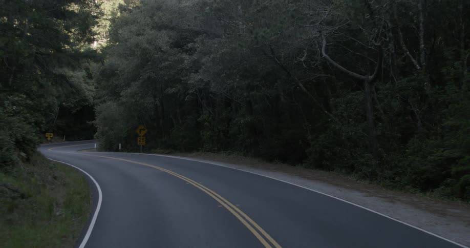 Empty road cutting through forest