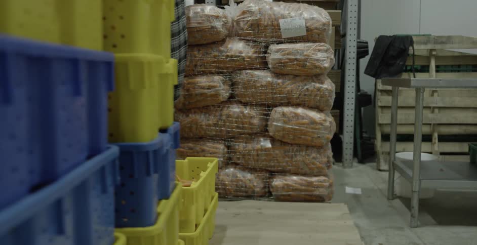 A person moving totes