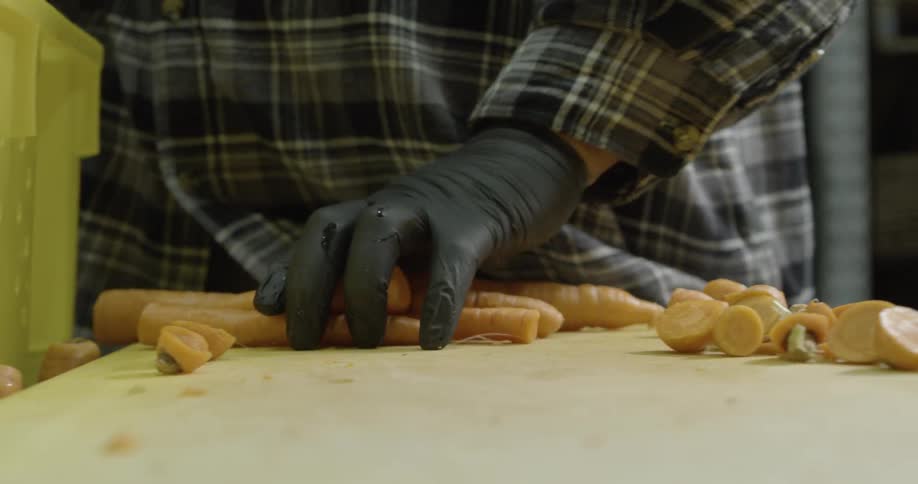 Man gathers carrots