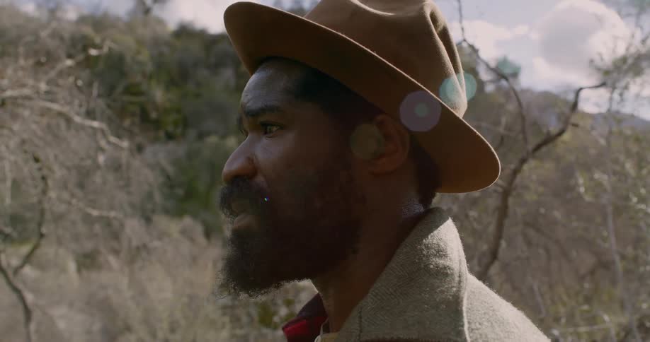 A man looks into nature