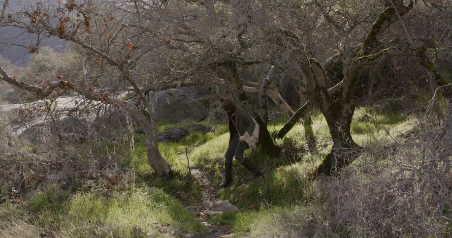A man walking down a path