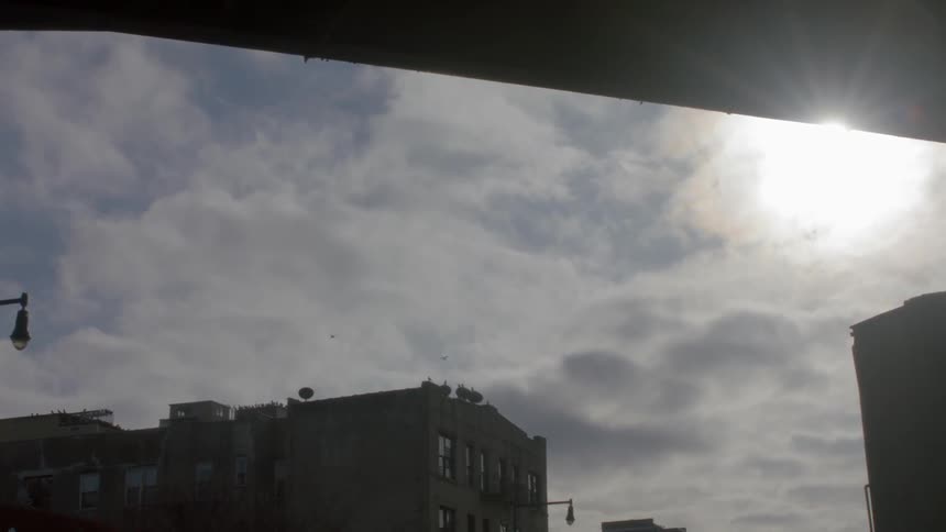 Birds flying above a dilapidated urban building