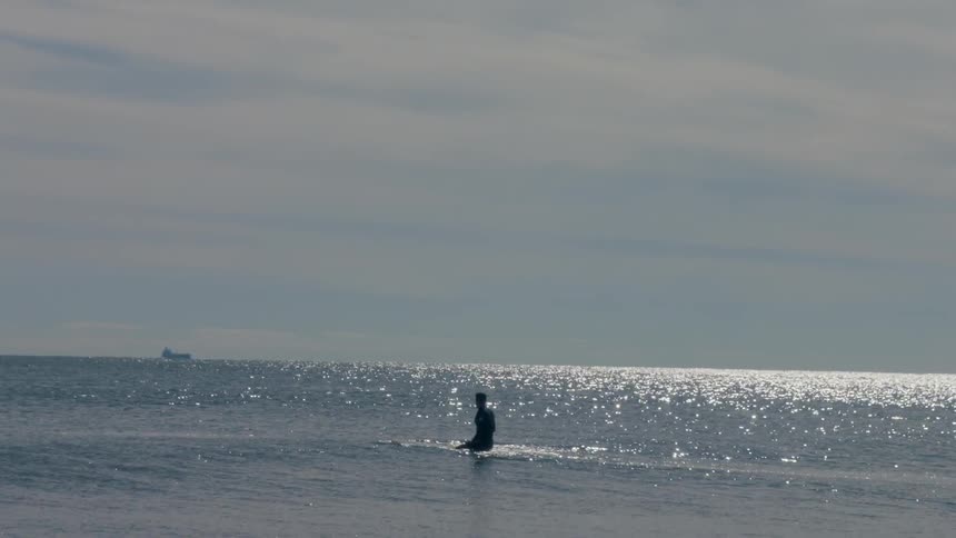 Surfer