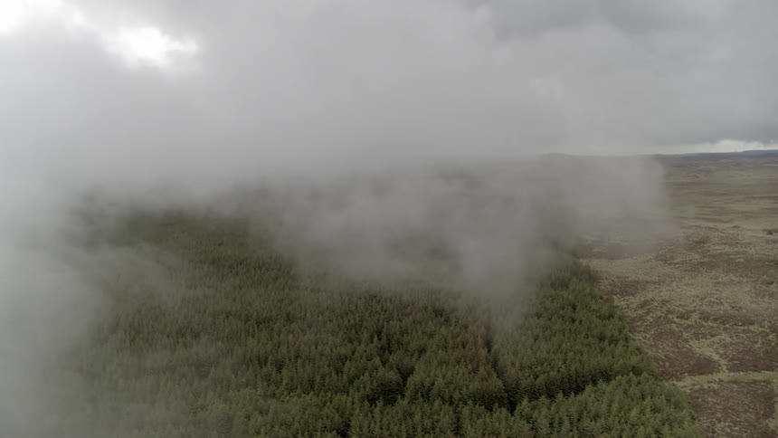 Clouds hover over a heavily forested area