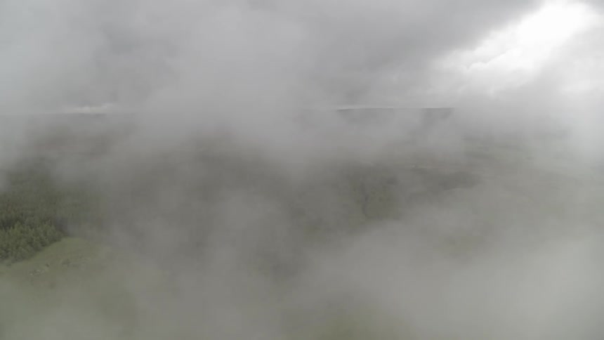 The large forest has heavy clouds above