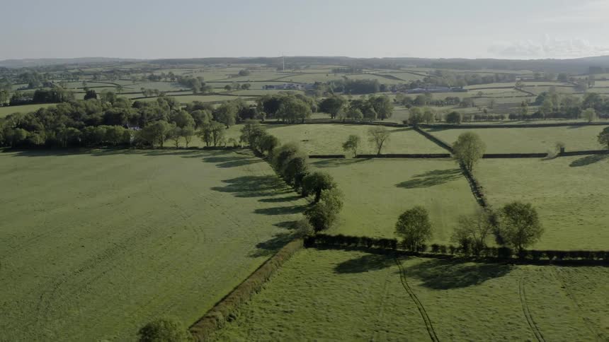 Pastoral scene of farmland divided by hedgerows under a clear blue sky
