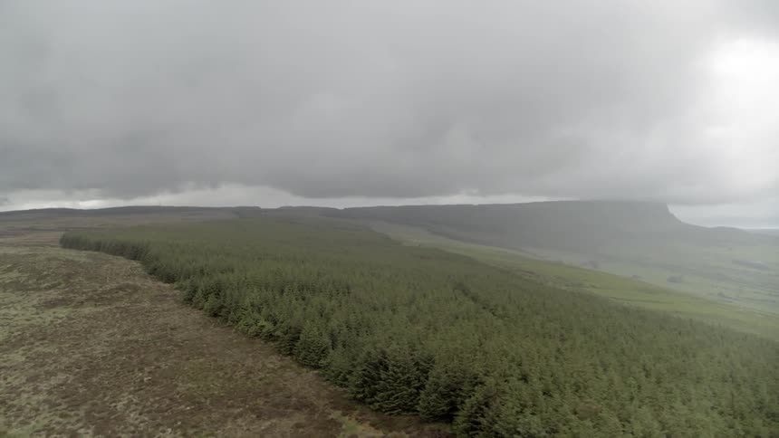 Clouds hang low over a forest