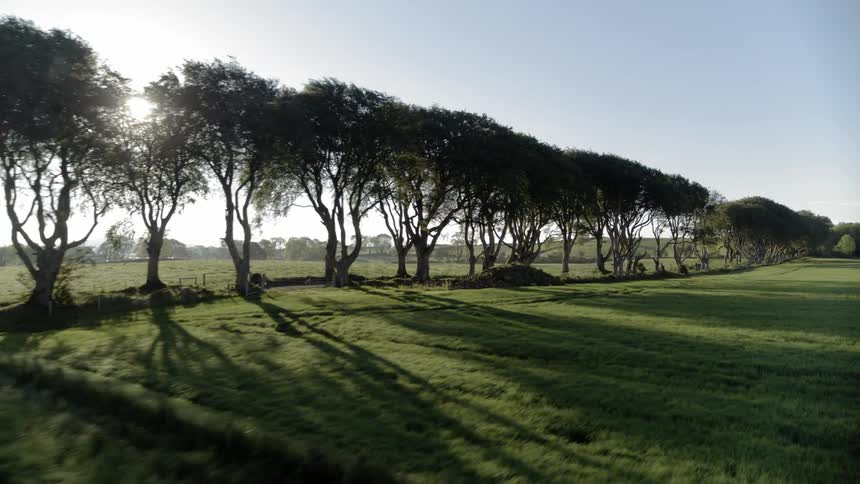 A field with trees with the sun in the background