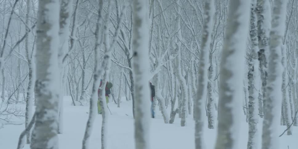 Two men walking in the snow with skis