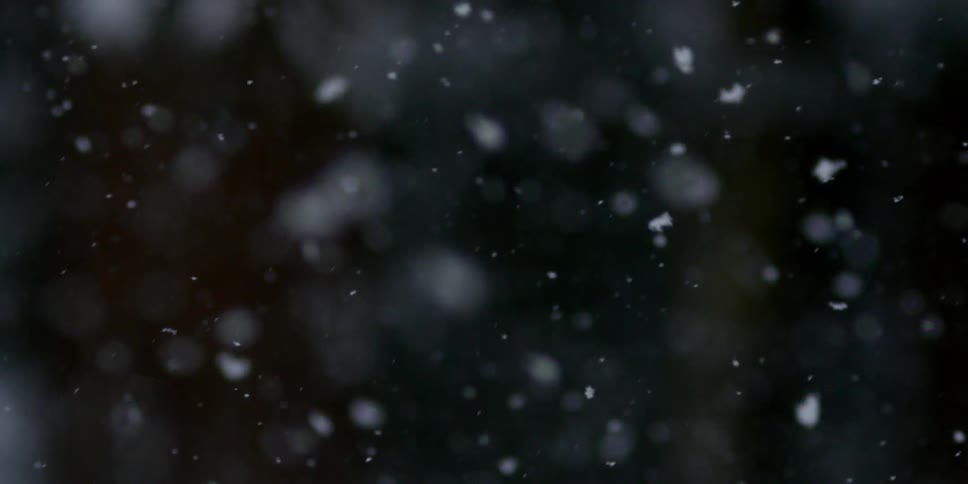 Snowflakes float lazily in the air