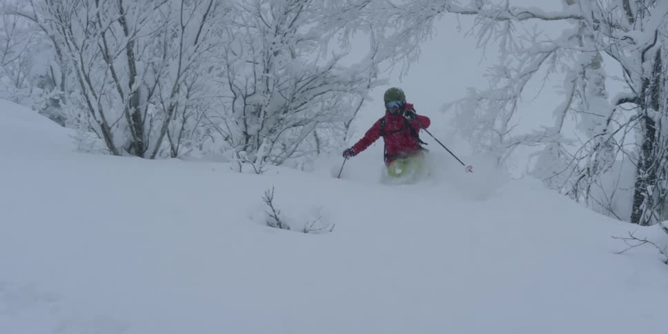 A person skis down an off piste tree covered slope