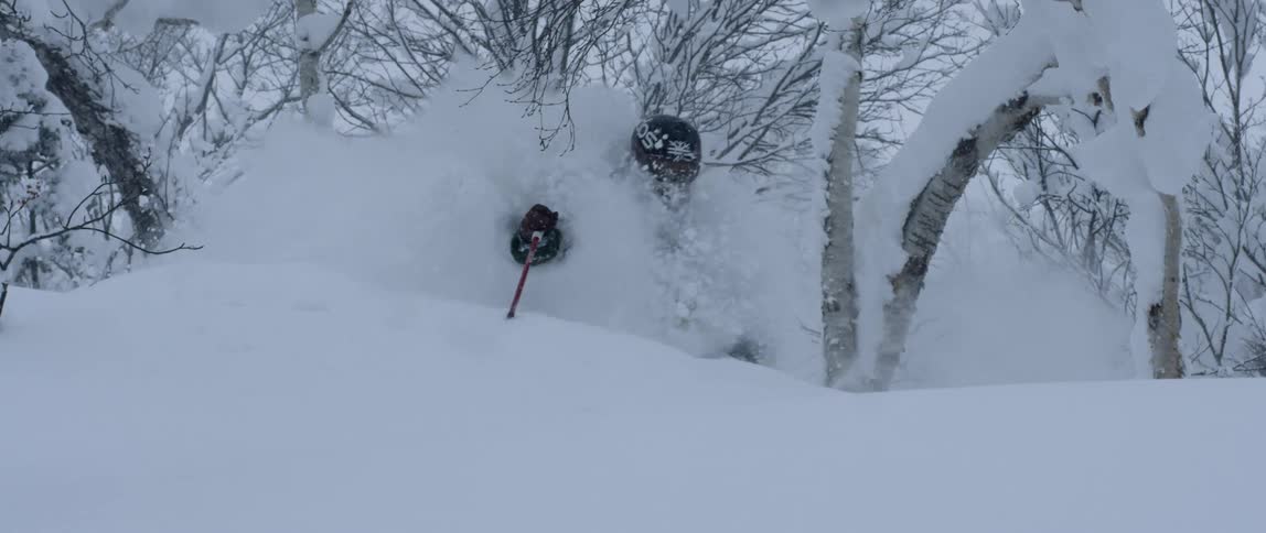 A person skis down an off piste tree covered slope