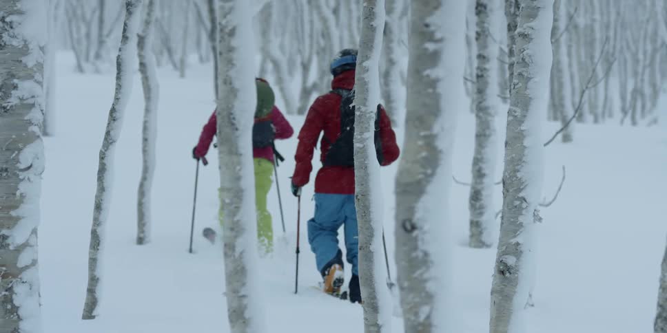 Two individuals cross country skiing