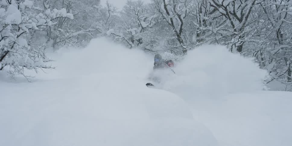 Skier moving through woods