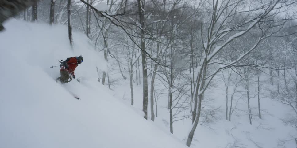 Skier skiing through a forest down a snow covered hill