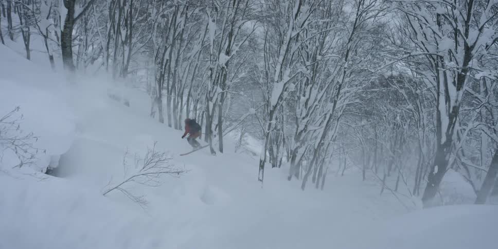 Skier performing trick in woods