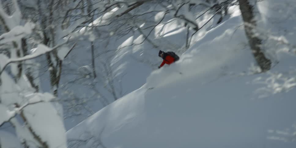 A person that is skiing down a mountain near trees