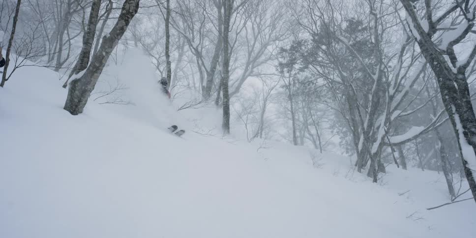 A person skiing in snow through trees