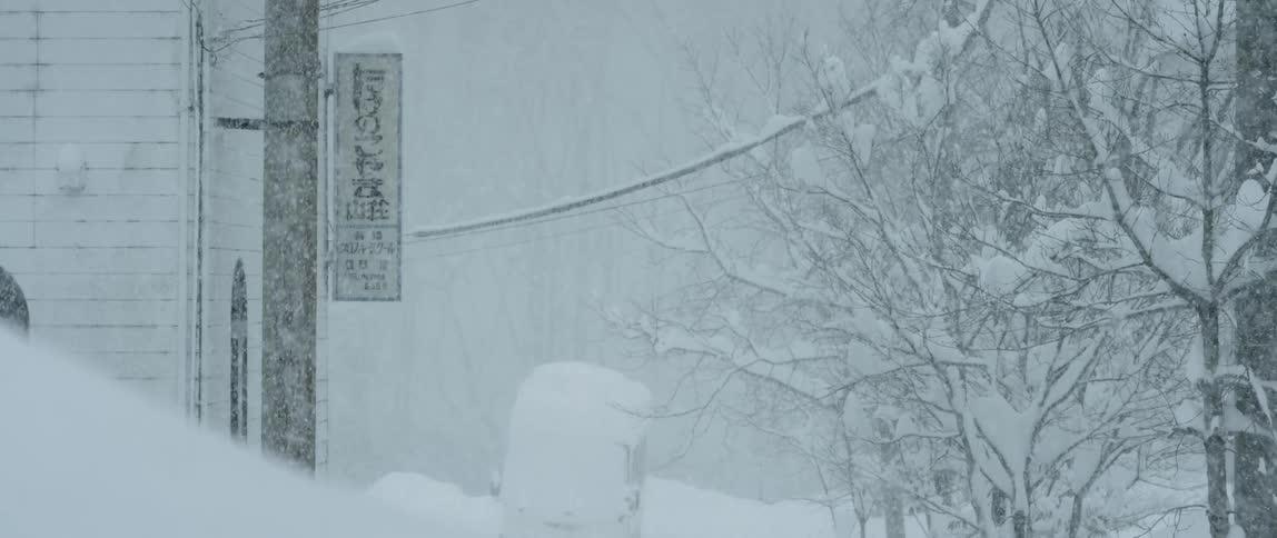 Snow falls around trees and power lines during a blizzard