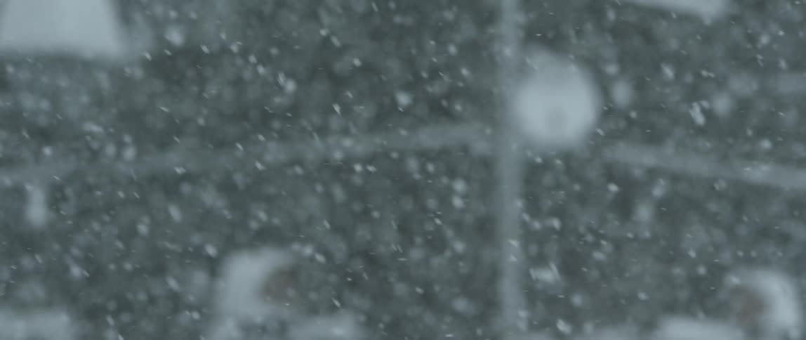 Heavy snow is covering the neighborhood
