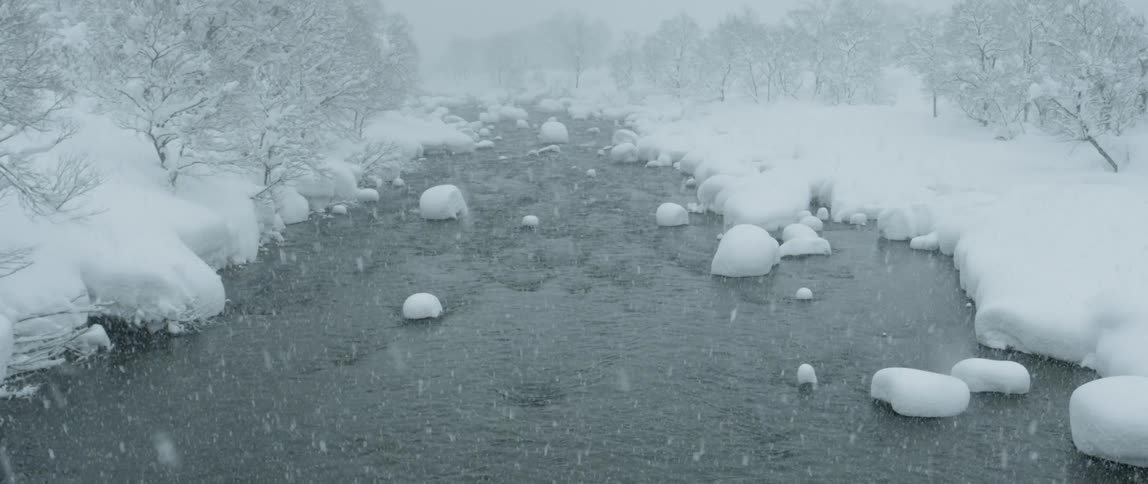 Snow falling on a creek surrounded by snow and icy trees