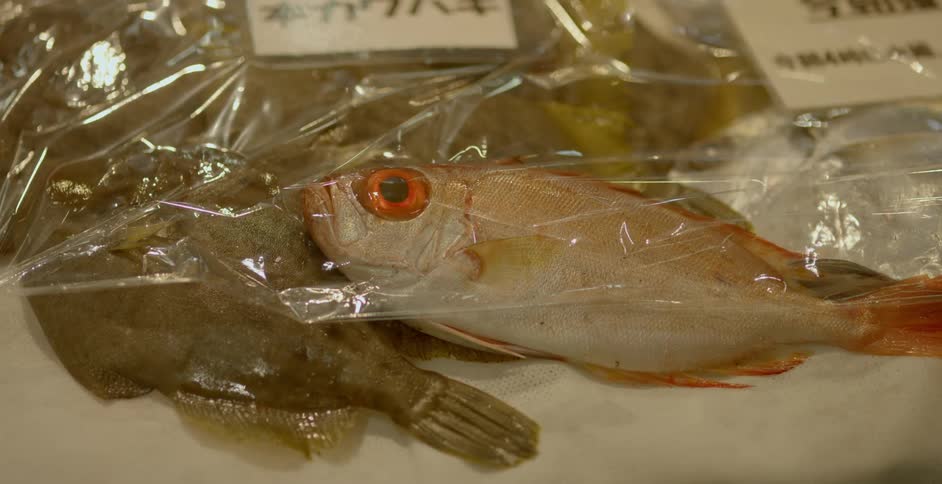 Whole fish are displayed on ice and under plastic in an asian market