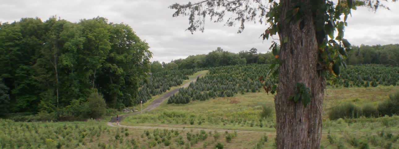 A field is shown during a cloudy day