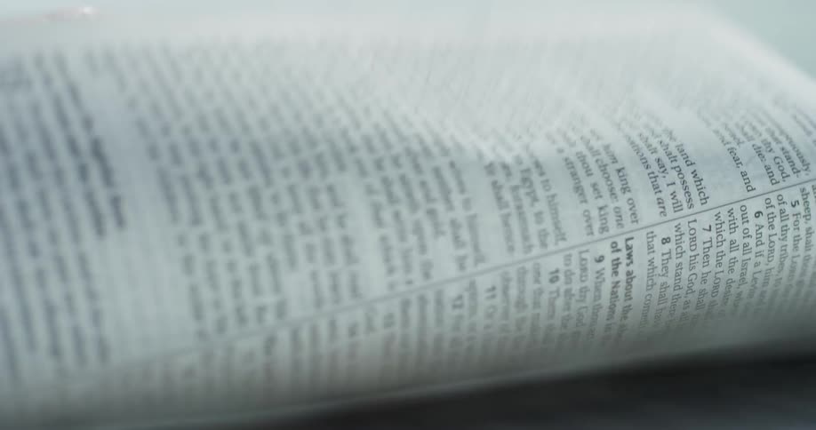 A person quickly flips through a book