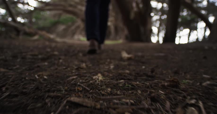 A person walks over dirt and sticks in a forest