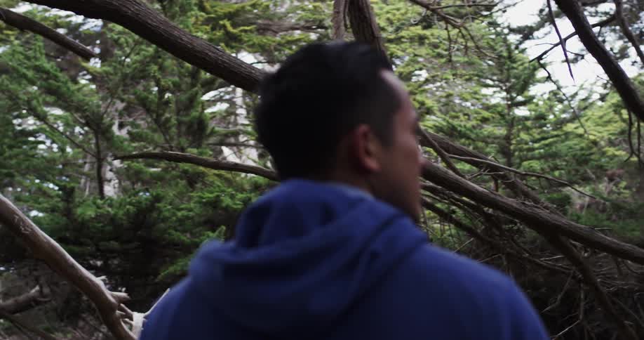 A man is hiking in the woods