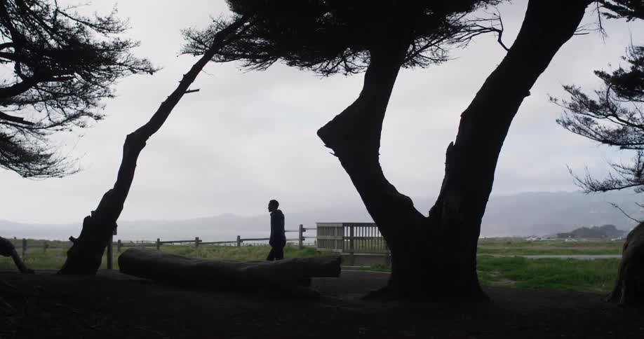 Man walks in the park near the trees then sits down