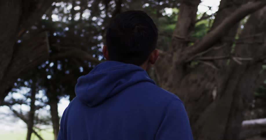 A young asian man walks through a forest
