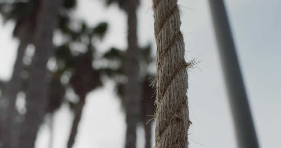 A hand reaches up and grabs a thick twisted rope with palm trees in the background