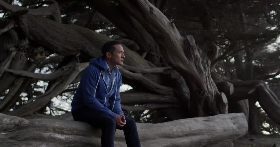 A man in a blue jacket is deep in thought while sitting on a tree