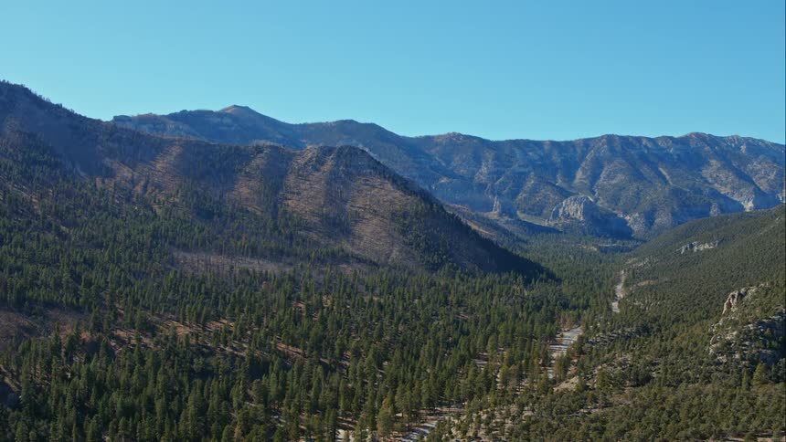 A serene valley is filled with green trees at the base of a range of mountains